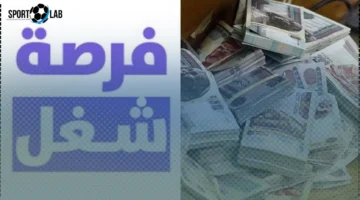وزارة الشباب والرياضة تعلن اليوم عن فرص عمل مميزة براتب 8,500 جنيه في بنك خاص